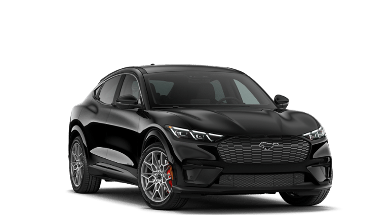 Mustang Mach-E® vehicle